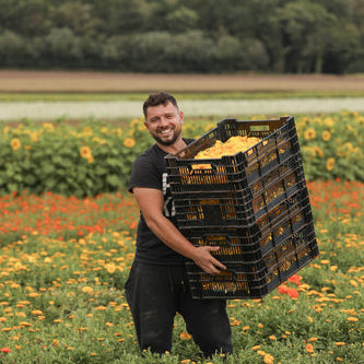 Behind the Scenes of our Dried Flower Harvest 2023