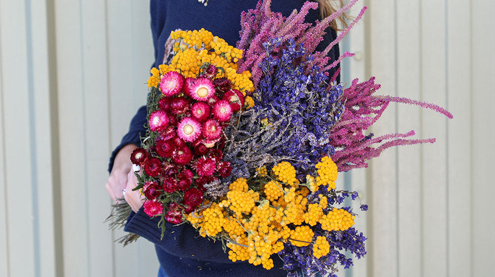 Autumn/Winter Dried Flower Colour Palettes to Inspire Your Designs