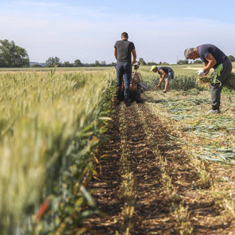 Back British Farming Day 2023
