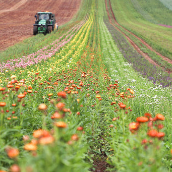 LSF Wholesale Supports Back British Farming Day