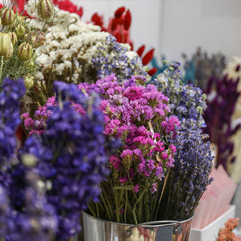 The Timeless Charm of Dried Flowers: Why They’re Worth the Investment