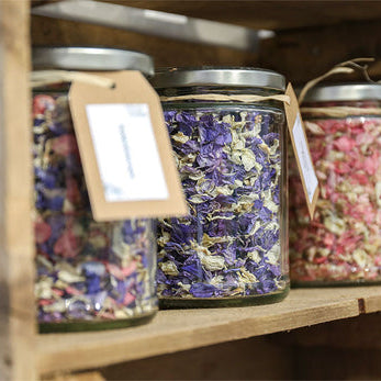 Seeds of Change Series 2: Understanding Eco-Friendly and Sustainable Products: What You Need to Know