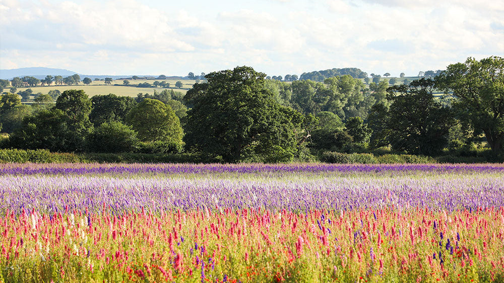 This Year on the Farm: What We’re Keeping, Changing & Learning