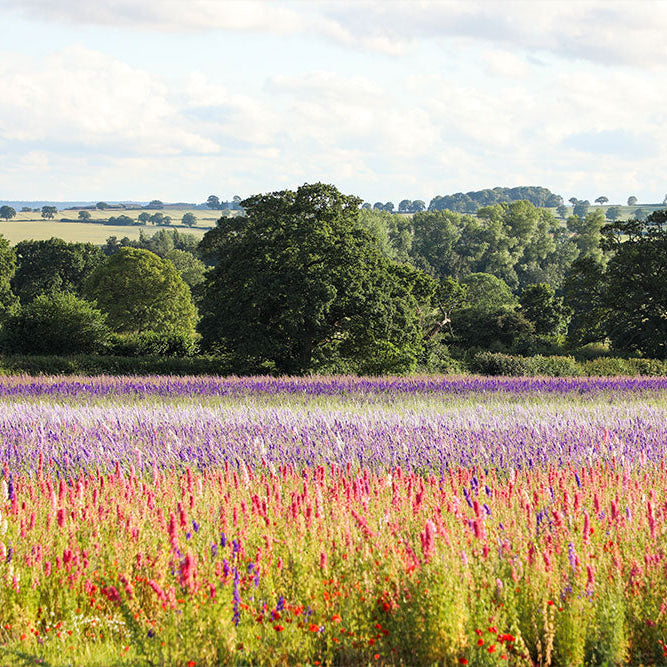 This Year on the Farm: What We’re Keeping, Changing & Learning