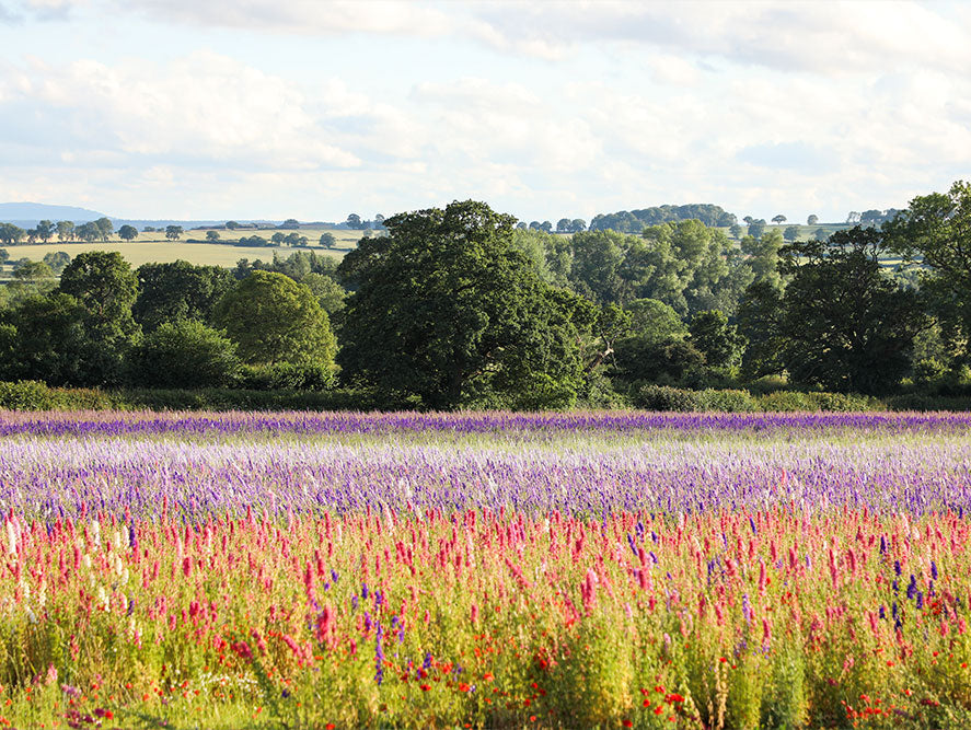 This Year on the Farm: What We’re Keeping, Changing & Learning