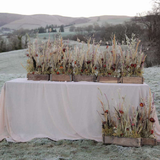 Case Study: Sarah Breese Design