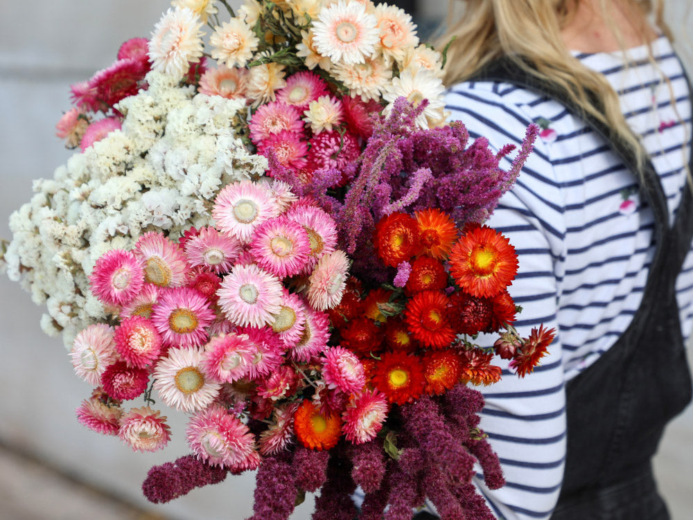 British grown dried flowers