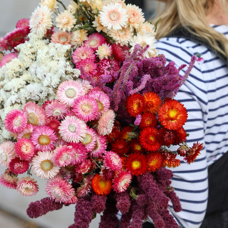 British grown dried flowers