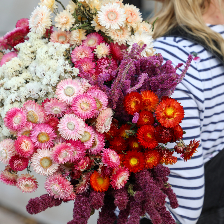 Wholesale Sustainable Dried Flower Gifts for Valentine’s Day