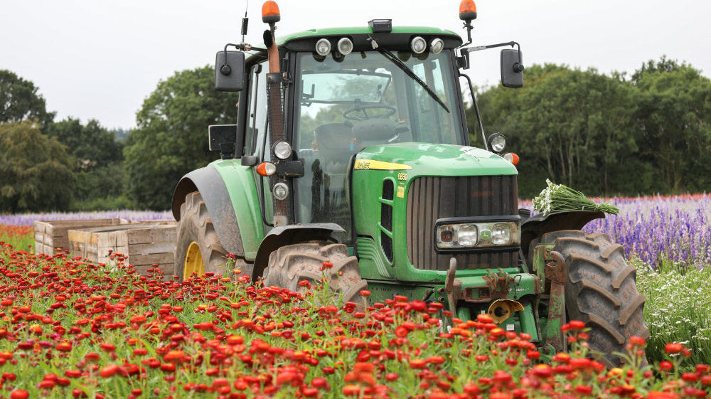Celebrating British Flowers Week: Why Buying British Blooms Matters