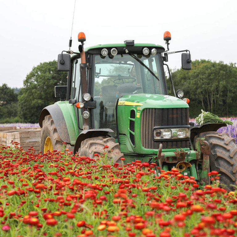 Celebrating British Flowers Week: Why Buying British Blooms Matters