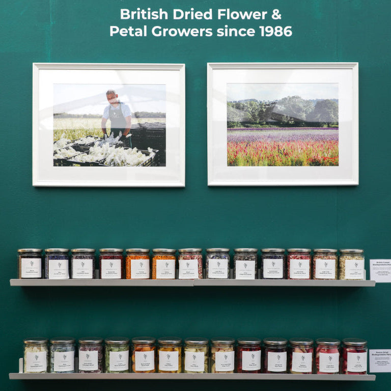 Come and See Us at Harrogate Home & Gift 2025