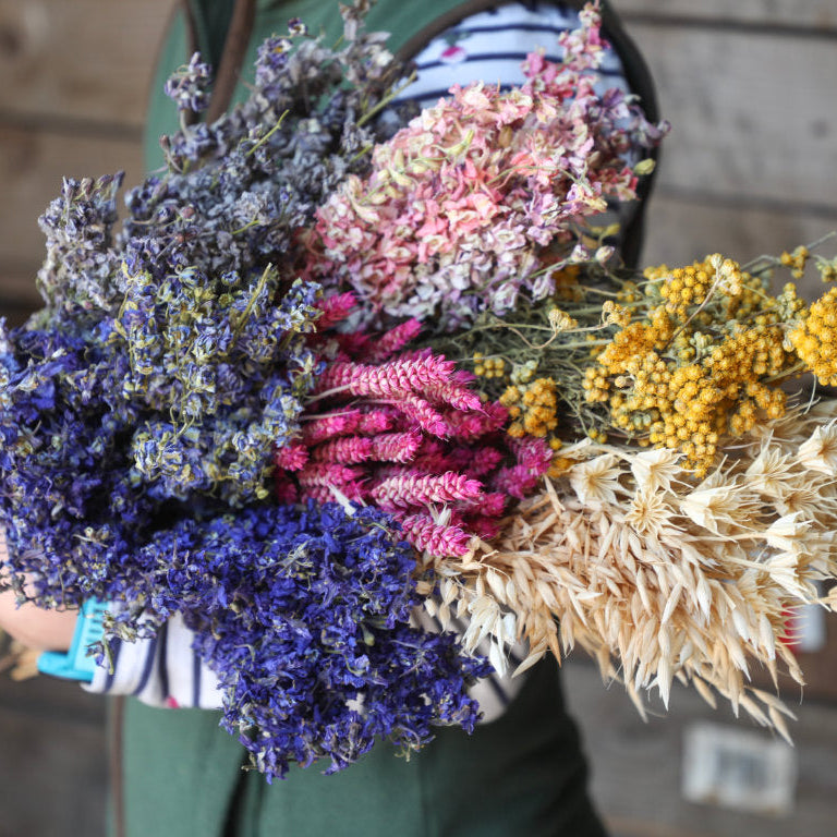 Pre-Harvest Dried Flower and Petal Sale