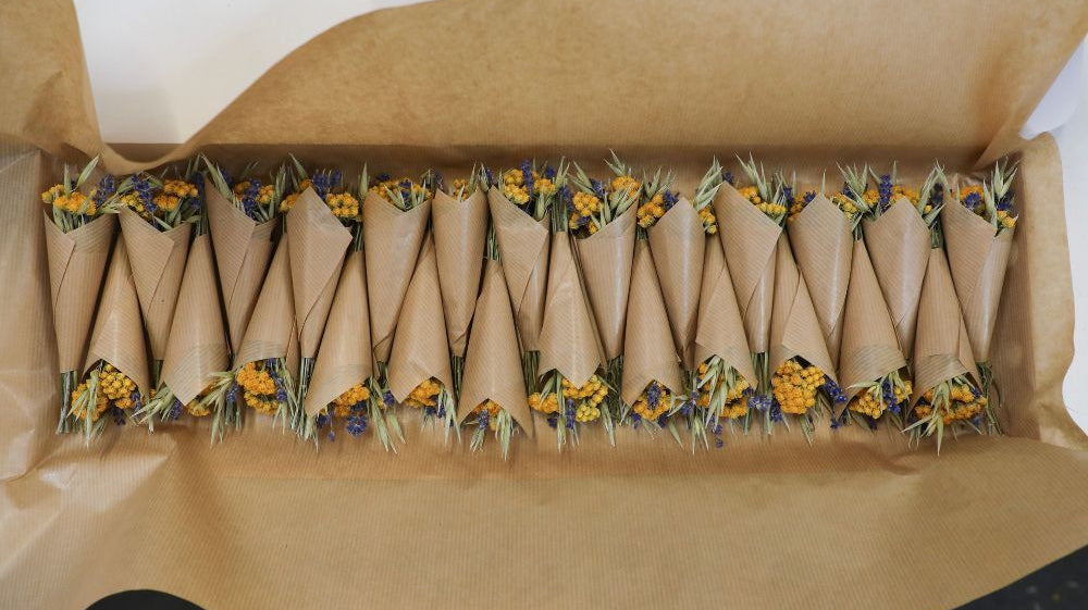 Case Study: The Great British Bee Company