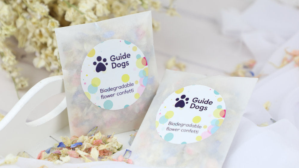 Case Study: Guide Dogs UK