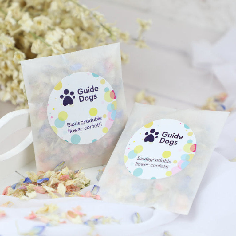 Case Study: Guide Dogs UK