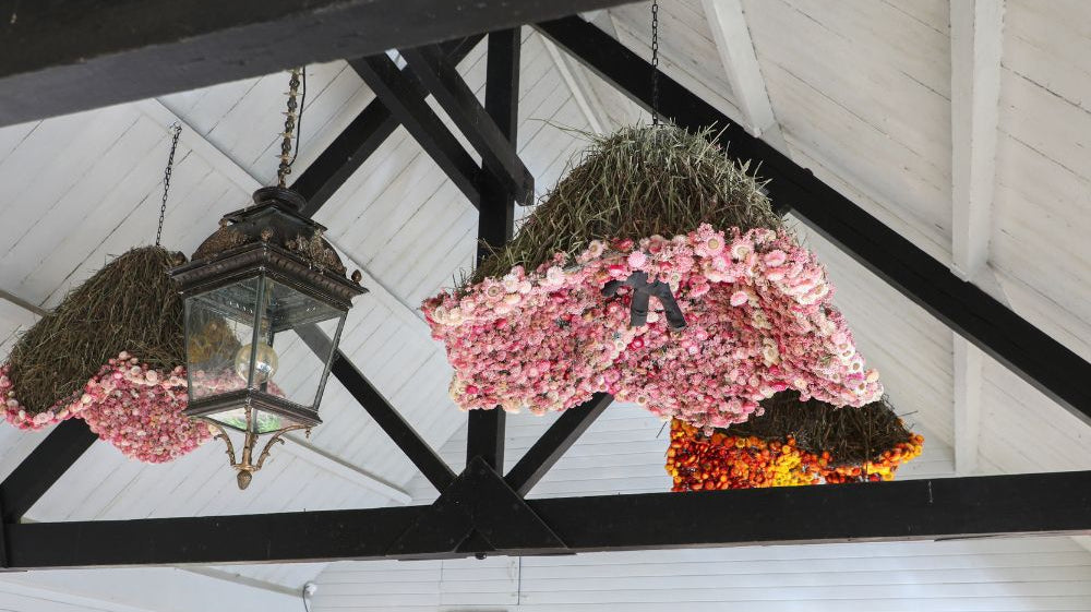 Case Study: RHS Wisley