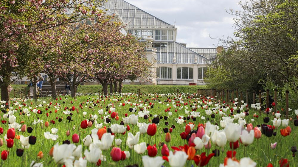 Case Study: Kew Gardens