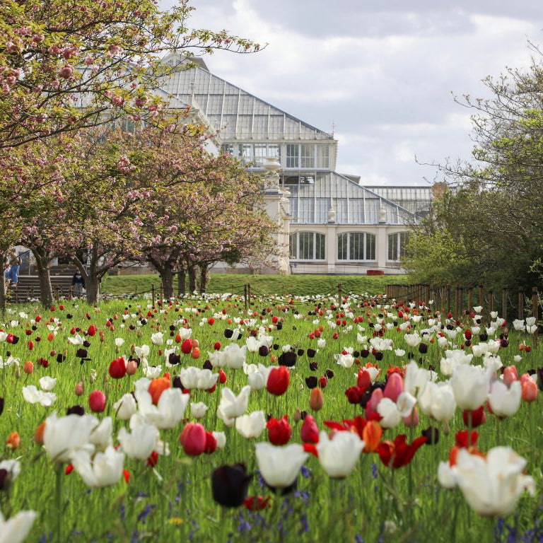 Case Study: Kew Gardens