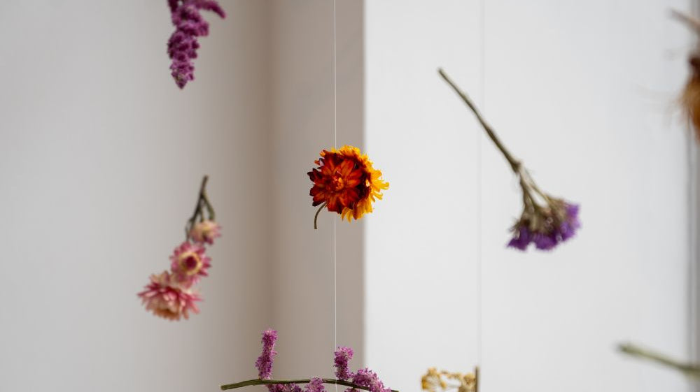 Case Study: The Toasted Florist