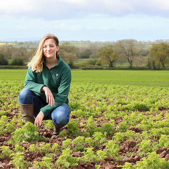 Seeds of Change Series 1: Growing a Greener Future with LSF Wholesale Dried Flowers and Petals