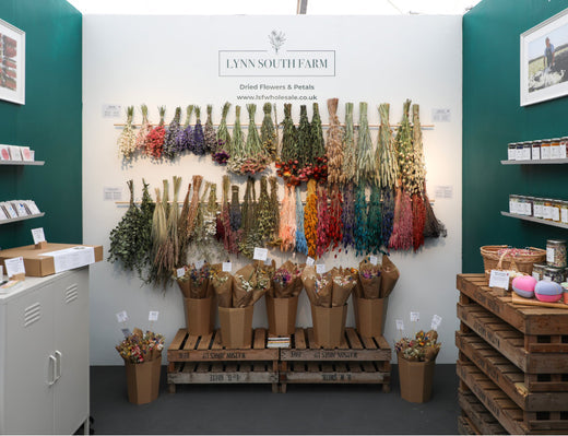 Visit LSF Wholesale at Top Drawer London This January!