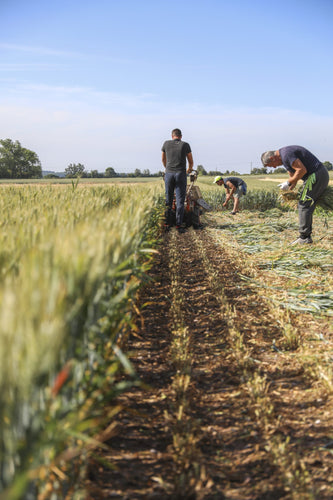 Back British Farming Day 2023