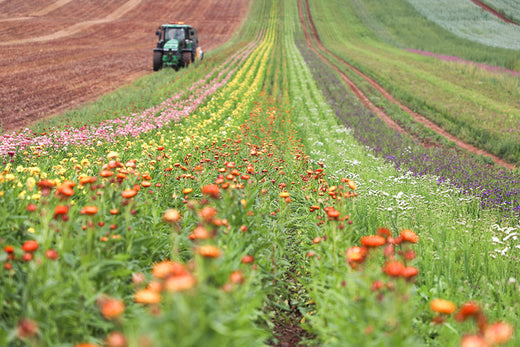 LSF Wholesale Supports Back British Farming Day