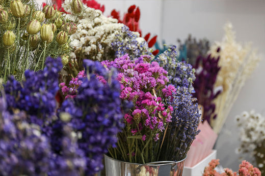 The Timeless Charm of Dried Flowers: Why They’re Worth the Investment