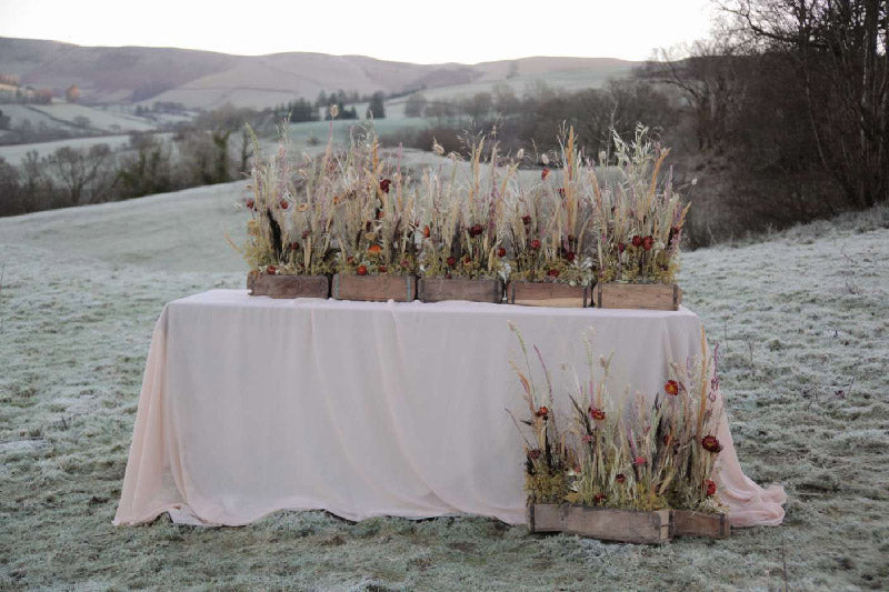 Case Study: Sarah Breese Design