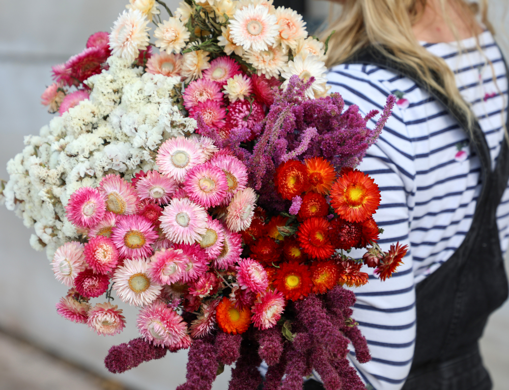 Wholesale Sustainable Dried Flower Gifts for Valentine’s Day