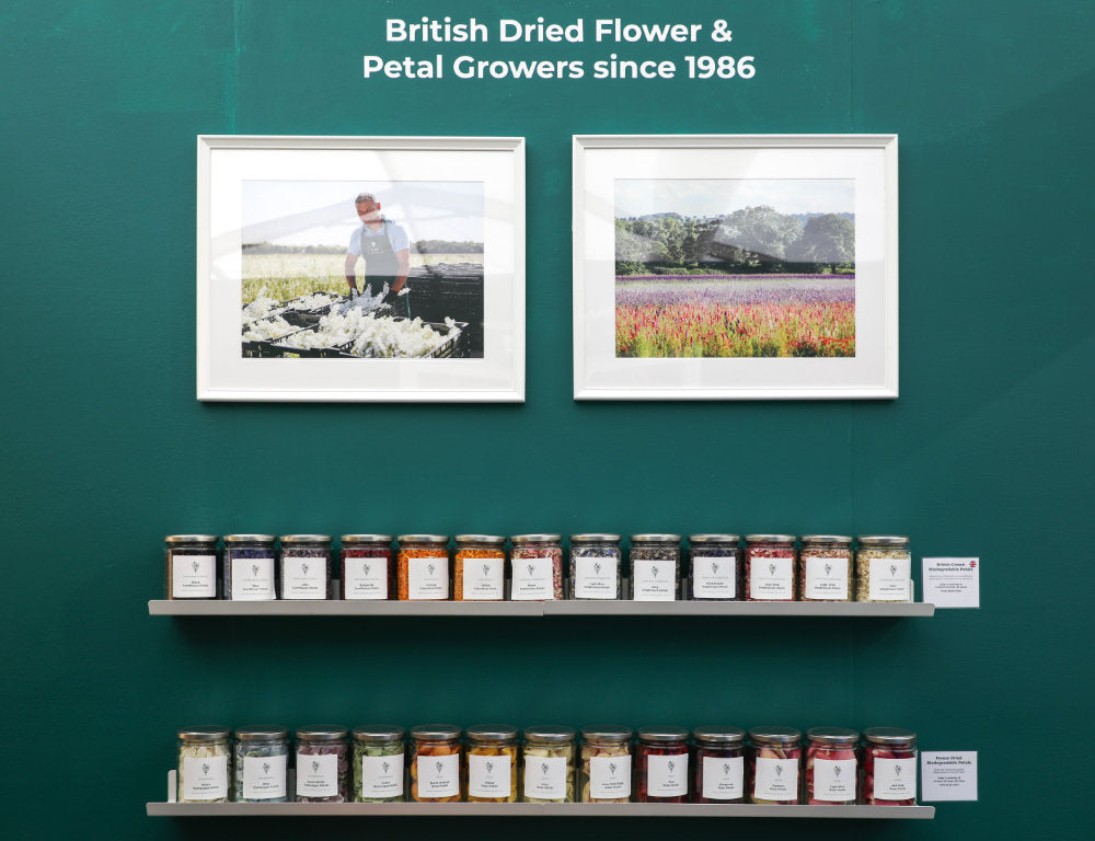 Come and See Us at Harrogate Home & Gift 2025