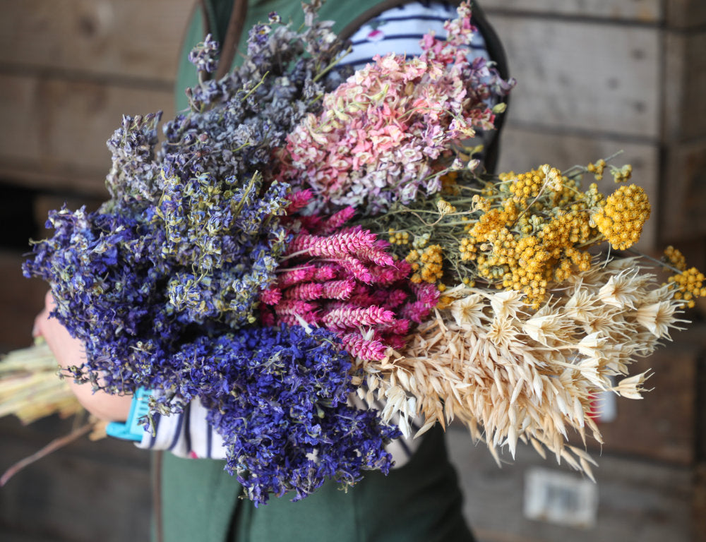 Pre-Harvest Dried Flower and Petal Sale
