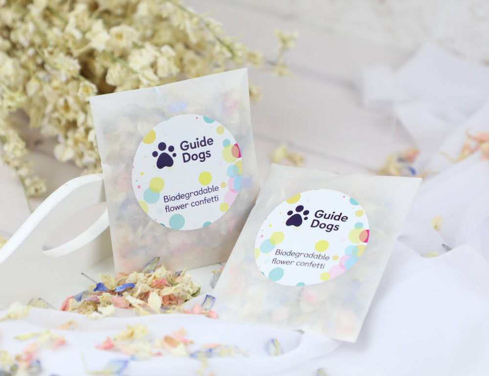 Case Study: Guide Dogs UK