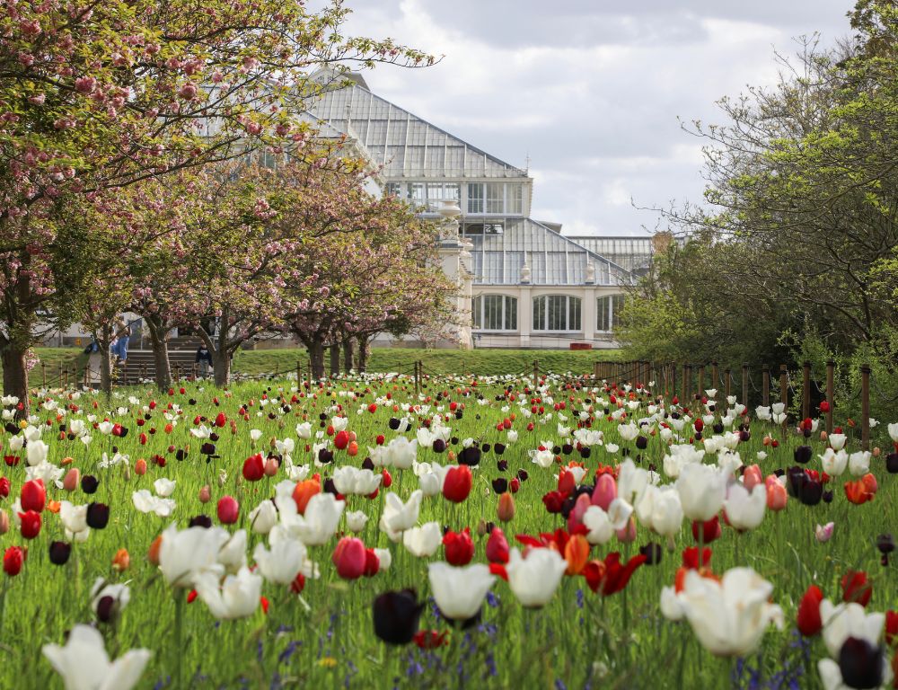 Case Study: Kew Gardens