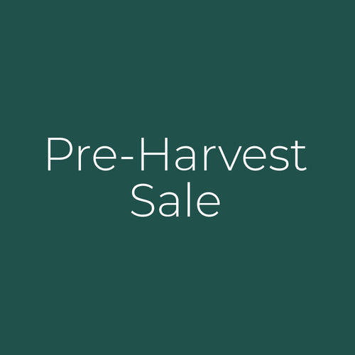 Check Out Our Pre-Harvest Dried Flower Sale