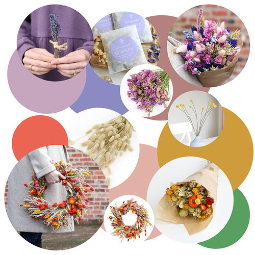 Dried Flowers: Spring Summer 2024 Trends