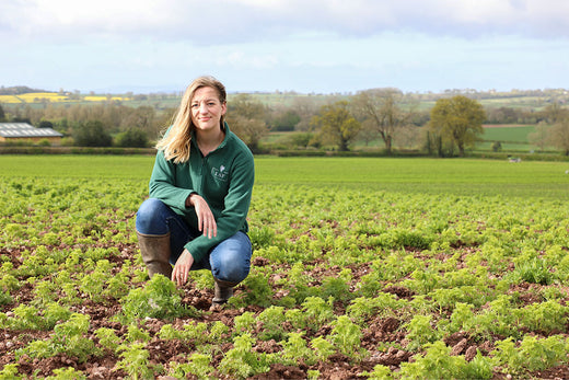 Seeds of Change Series 1: Growing a Greener Future with LSF Wholesale Dried Flowers and Petals