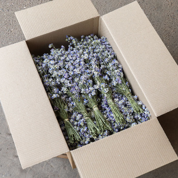 Wholesale Box of Light Blue Delphinium Bunches