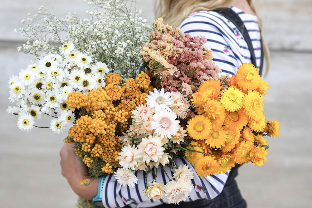 Spring/Summer