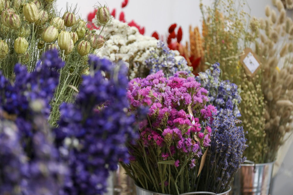 Wholesale Dried Flowers available from LSF