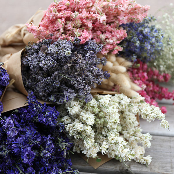 Wholesale Dried Flowers Available for Bulk Purchasing at LSF