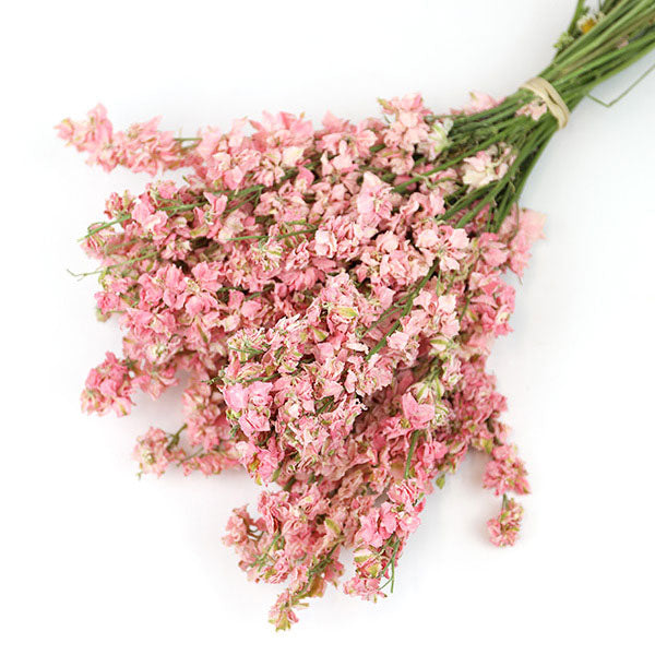 Dried Light Pink Delphinium Larkspur Bunch