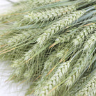 Wholesale Bearded Wheat Bunch for decoration