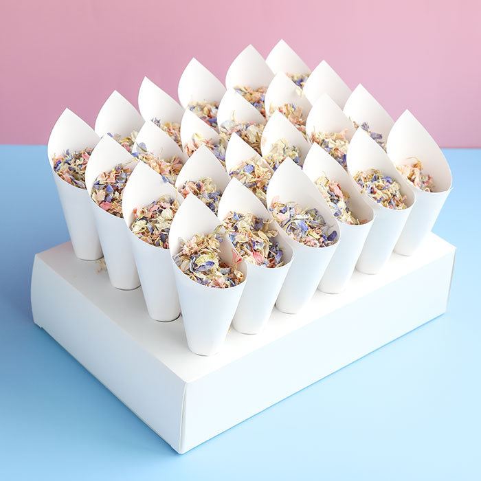 LSF Wholesale Confetti Cones with Biodegradable Petal Confetti