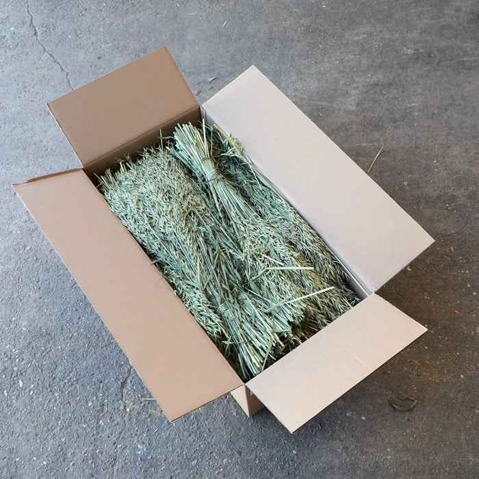 Oats Bunch - Box of 25 – LSF Wholesale