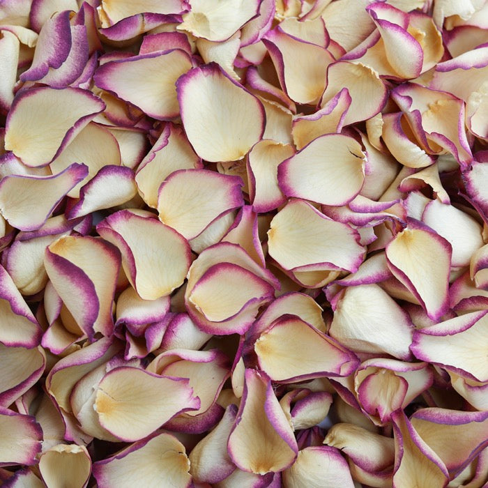 Damson Rose Petals