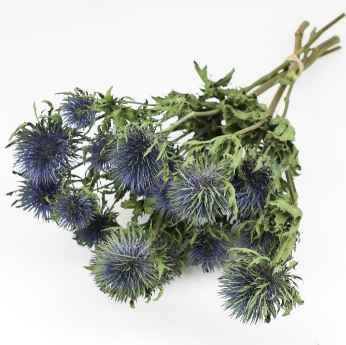Christmas Box with Eryngium