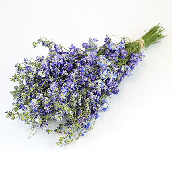 Wholesale Dried Flower Light Blue Delphinium Bunch | Larkspur Dried Flowers