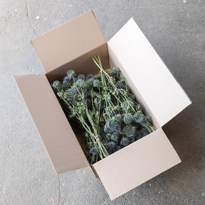 Christmas Box with Eryngium